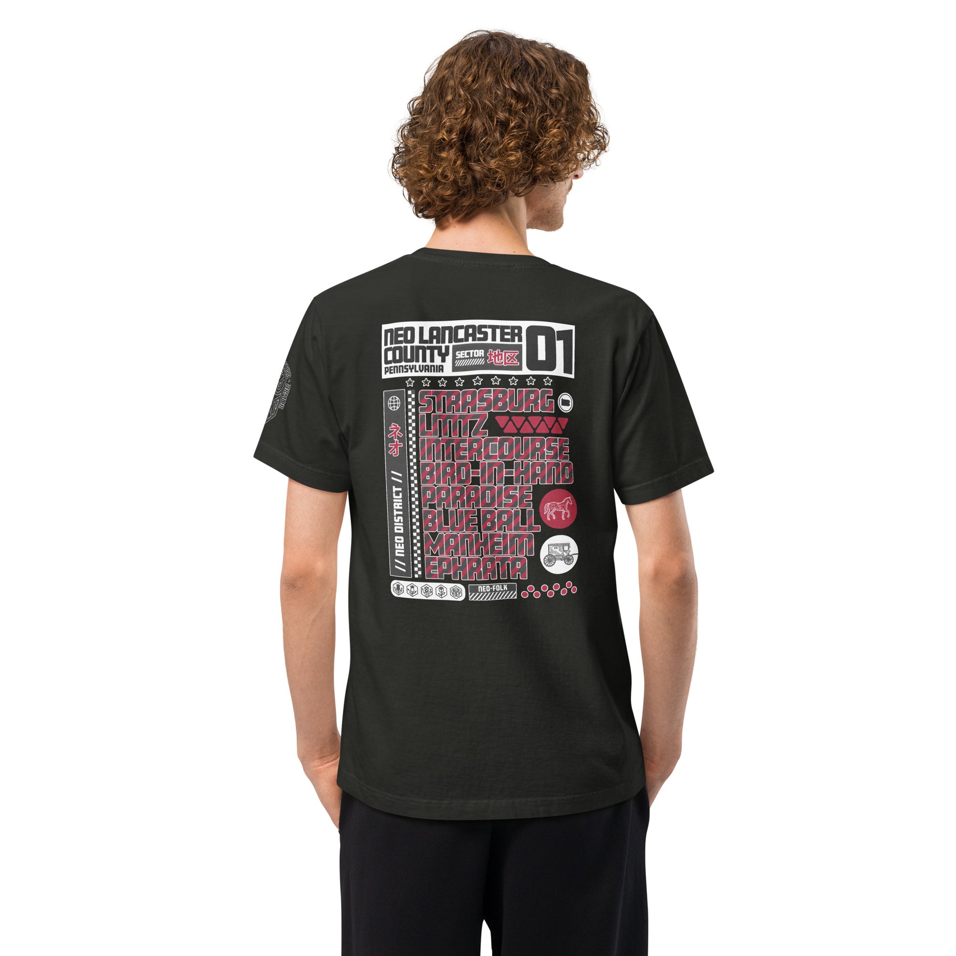 Neo Lancaster County Heavyweight Oversized Graphic T-Shirt