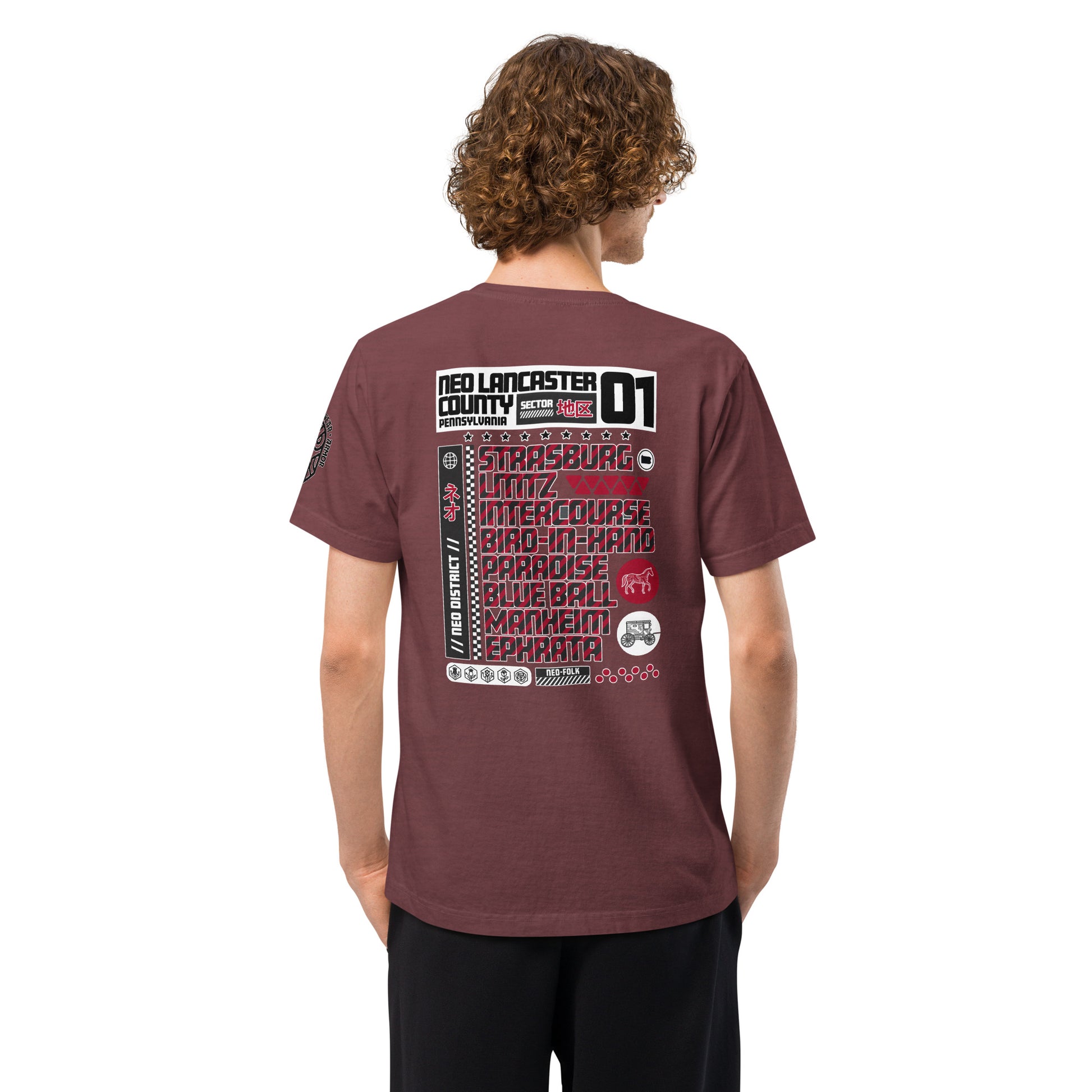 Neo Lancaster County Heavyweight Oversized Graphic T-Shirt